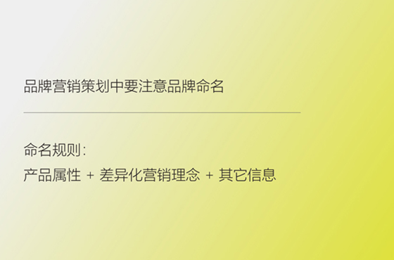 品牌营销策划中要注意品牌命名