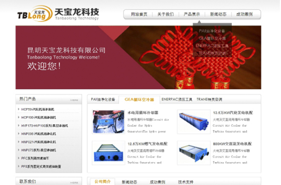 天宝龙企业网站建设圆满完成