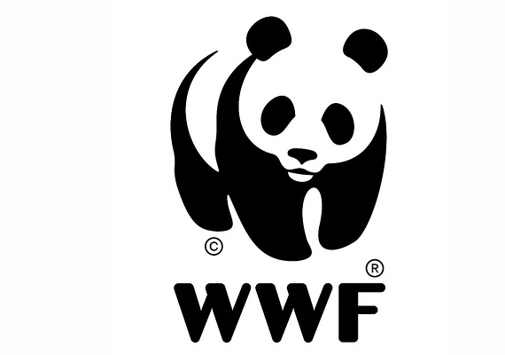 logo设计需要注意的七个重要规则_昆明logo设计