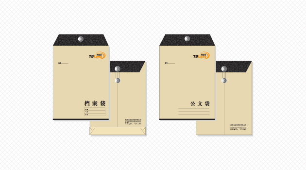 昆明天宝龙科技有限公司品牌策划_昆明品牌策划