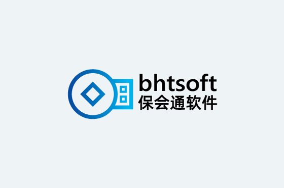 云南保会通软件公司LOGOVI设计