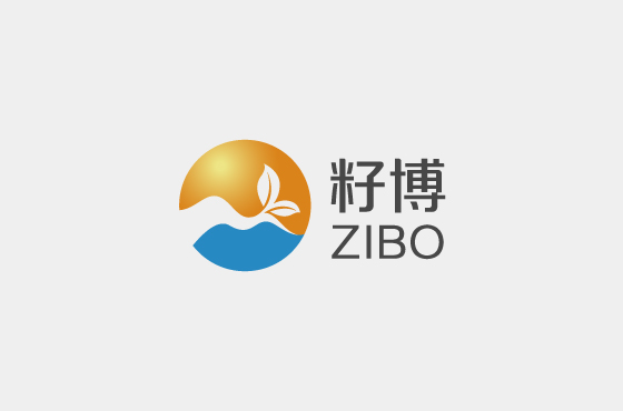 籽博LOGO设计