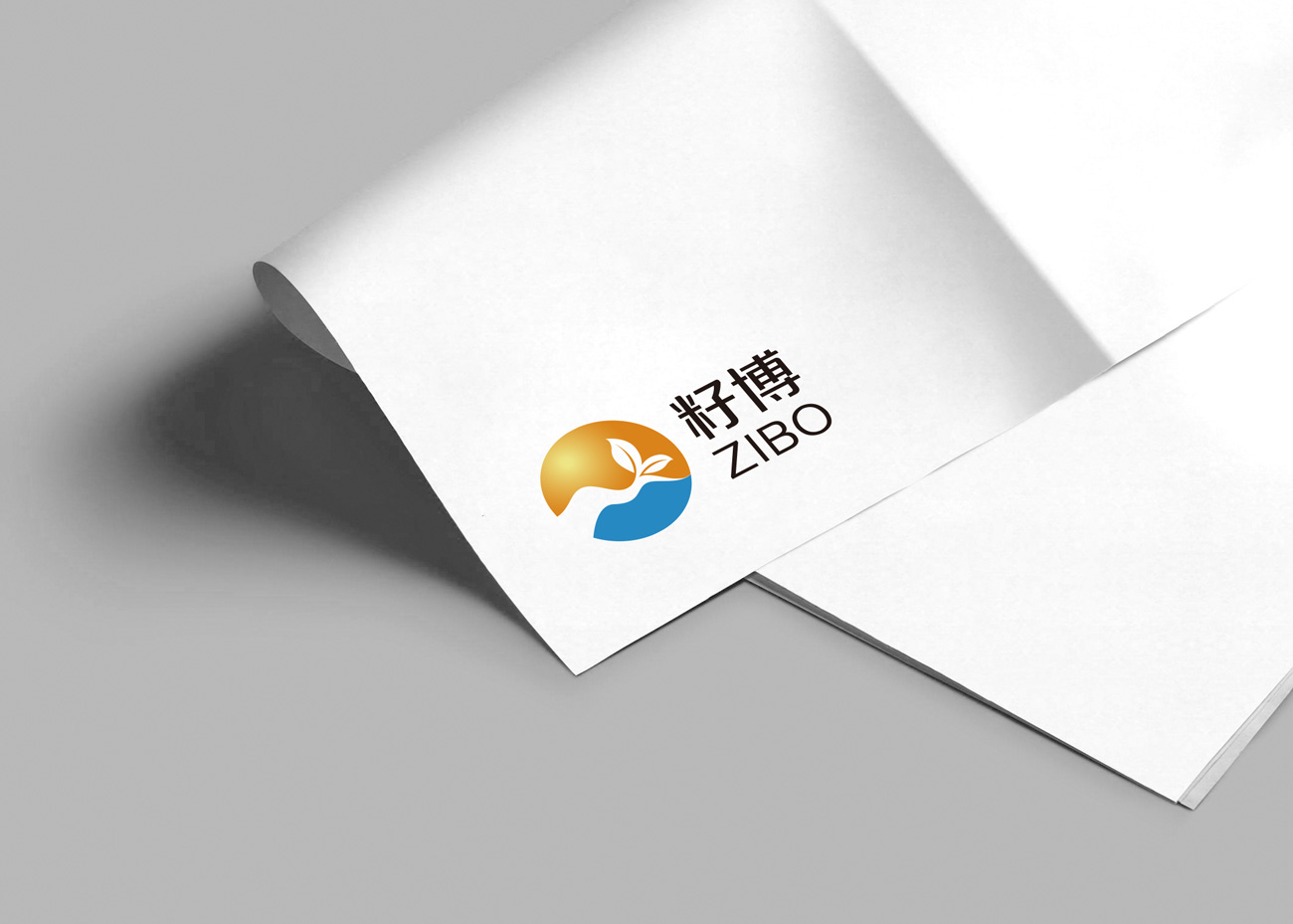 籽博LOGO设计_昆明LOGO设计