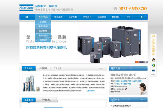 云南善友经贸有限公司网站设计