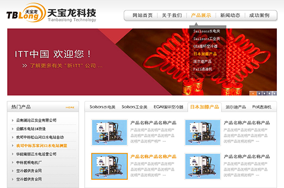 昆明天宝龙科技有限公司网站设计