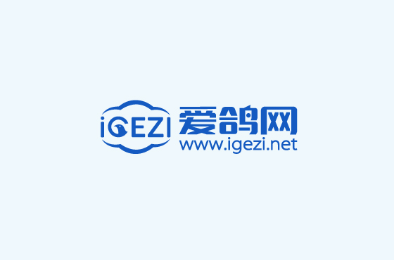 爱鸽网LOGO设计
